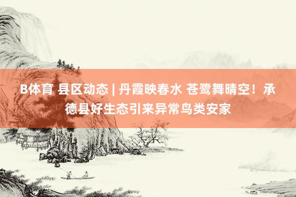 B体育 县区动态 | 丹霞映春水 苍鹭舞晴空！承德县好生态引来异常鸟类安家