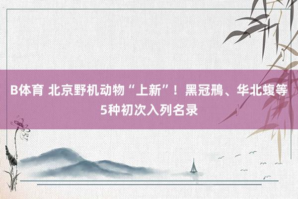 B体育 北京野机动物“上新”！黑冠鳽、华北蝮等5种初次入列名录