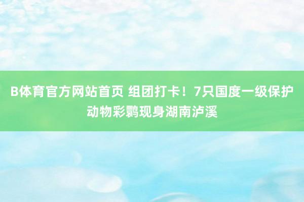 B体育官方网站首页 组团打卡！7只国度一级保护动物彩鹮现身湖南泸溪