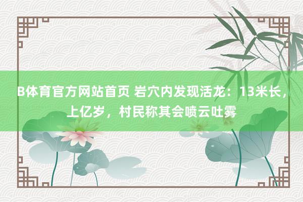 B体育官方网站首页 岩穴内发现活龙：13米长，上亿岁，村民称其会喷云吐雾