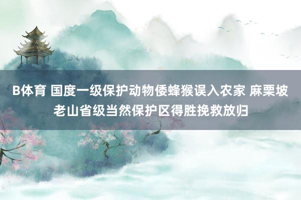 B体育 国度一级保护动物倭蜂猴误入农家 麻栗坡老山省级当然保护区得胜挽救放归