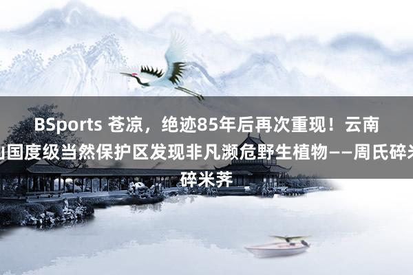 BSports 苍凉，绝迹85年后再次重现！云南文山国度级当然保护区发现非凡濒危野生植物——周氏碎米荠