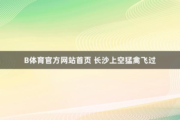 B体育官方网站首页 长沙上空猛禽飞过