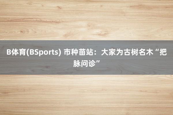 B体育(BSports) 市种苗站：大家为古树名木“把脉问诊”