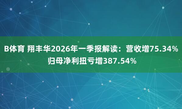 B体育 翔丰华2026年一季报解读：营收增75.34% 归母净利扭亏增387.54%