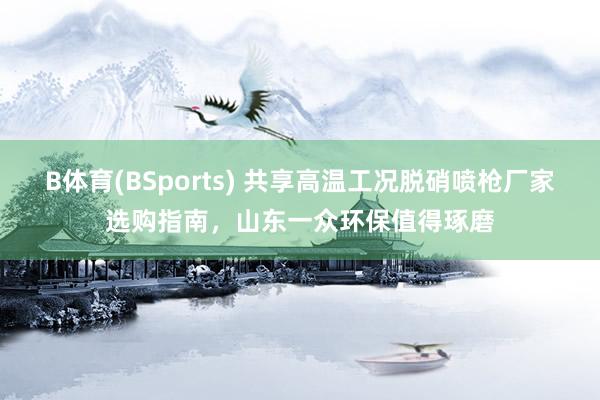 B体育(BSports) 共享高温工况脱硝喷枪厂家选购指南，山东一众环保值得琢磨