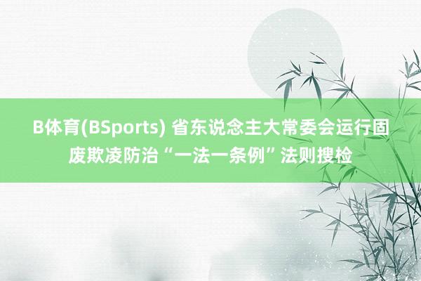 B体育(BSports) 省东说念主大常委会运行固废欺凌防治“一法一条例”法则搜检