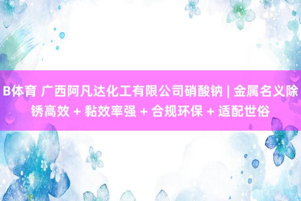 B体育 广西阿凡达化工有限公司硝酸钠 | 金属名义除锈高效 + 黏效率强 + 合规环保 + 适配世俗