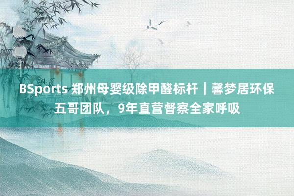 BSports 郑州母婴级除甲醛标杆｜馨梦居环保五哥团队，9年直营督察全家呼吸