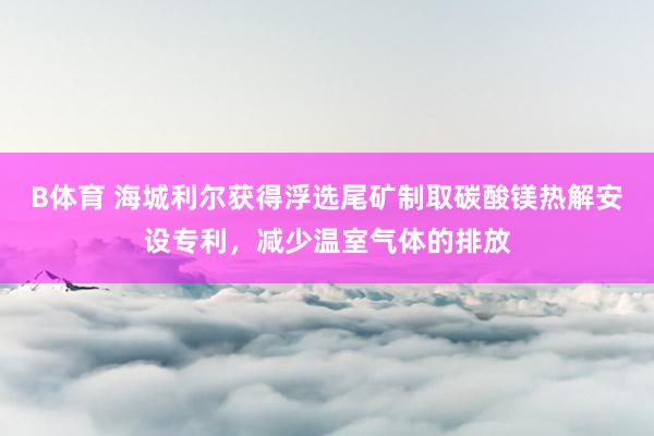 B体育 海城利尔获得浮选尾矿制取碳酸镁热解安设专利，减少温室气体的排放