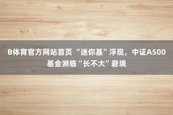 B体育官方网站首页 “迷你基”浮现，中证A500基金濒临“长不大”窘境