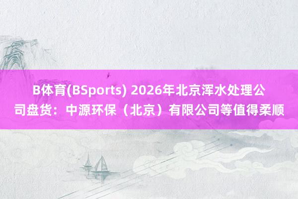 B体育(BSports) 2026年北京浑水处理公司盘货：中源环保（北京）有限公司等值得柔顺