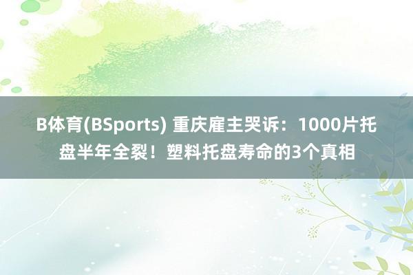 B体育(BSports) 重庆雇主哭诉：1000片托盘半年全裂！塑料托盘寿命的3个真相