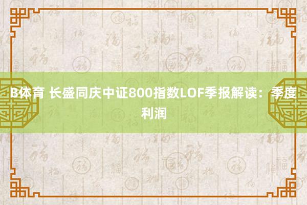 B体育 长盛同庆中证800指数LOF季报解读：季度利润
