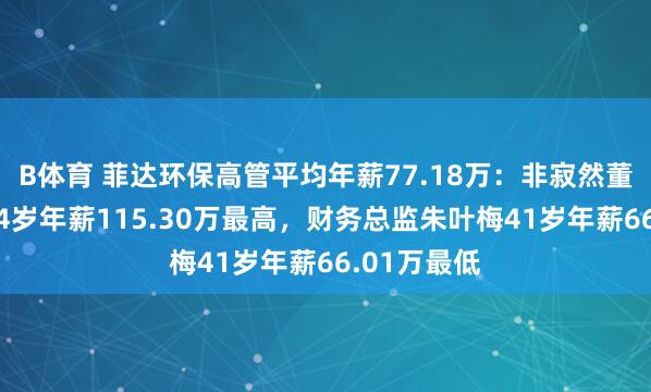 B体育 菲达环保高管平均年薪77.18万：非寂然董事吴罕江54岁年薪115.30万最高，财务总监朱叶梅41岁年薪66.01万最低
