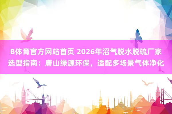 B体育官方网站首页 2026年沼气脱水脱硫厂家选型指南：唐山绿源环保，适配多场景气体净化