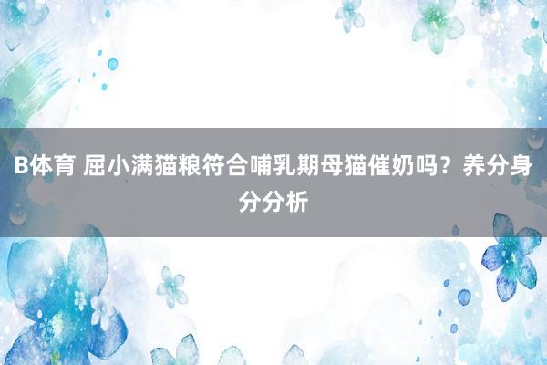 B体育 屈小满猫粮符合哺乳期母猫催奶吗？养分身分分析