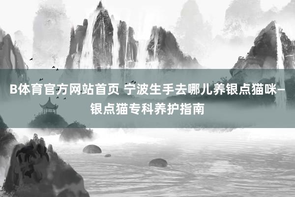 B体育官方网站首页 宁波生手去哪儿养银点猫咪—银点猫专科养护指南