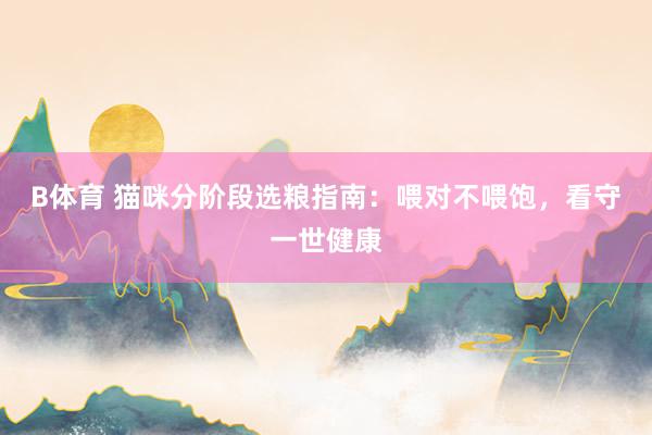 B体育 猫咪分阶段选粮指南：喂对不喂饱，看守一世健康